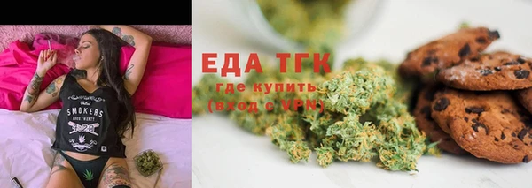 стаф Аркадак