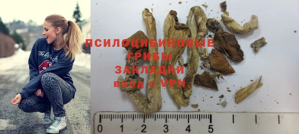 прущая мука Арсеньев