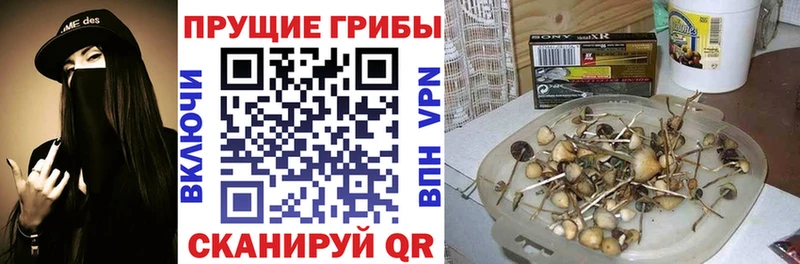гидра   Кировск  Галлюциногенные грибы мухоморы 