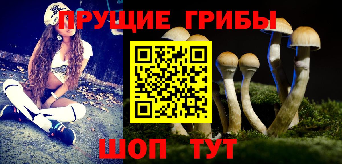 Галлюциногенные грибы MAGIC MUSHROOMS  Вход с VPN  Кировск 