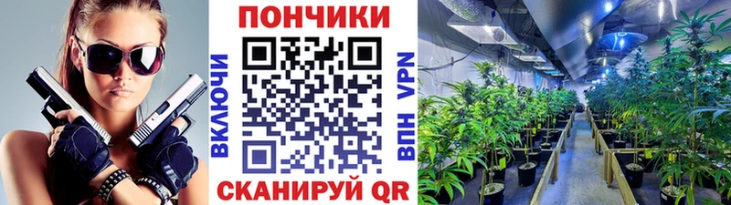 Конопля Ganja как найти Кировск