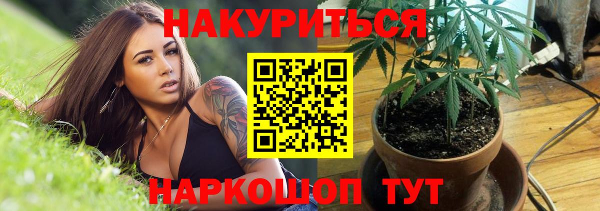 Шишки марихуана White Widow Кировск